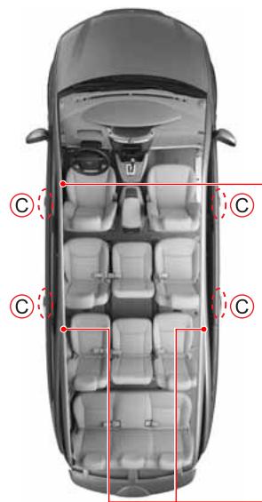 SSANGYONG RODIUS-STAVIC - Porte arrière gauche (intérieur) - 2