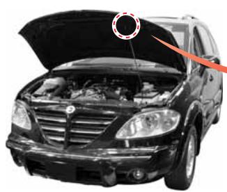 SSANGYONG RODIUS-STAVIC - AVERTISSEMENT - 1