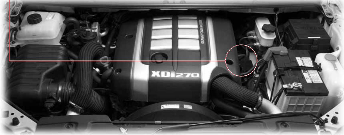 SSANGYONG RODIUS-STAVIC - ATTENTION - 1
