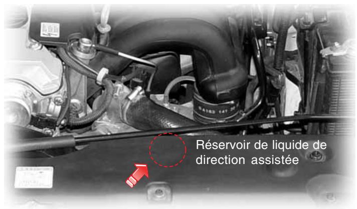 SSANGYONG RODIUS-STAVIC - LIQUIDE DE DIRECTION ASSISTEE - 2