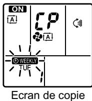 ON A CP A WEEKLY TUF Ecran de copie