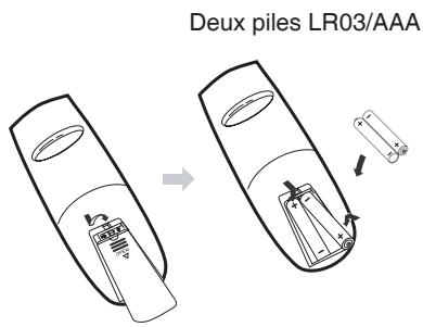 LENCO DVT-2422 - Insertion des piles - 1