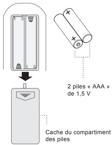 LENCO MES-204 - Installation des piles - 1