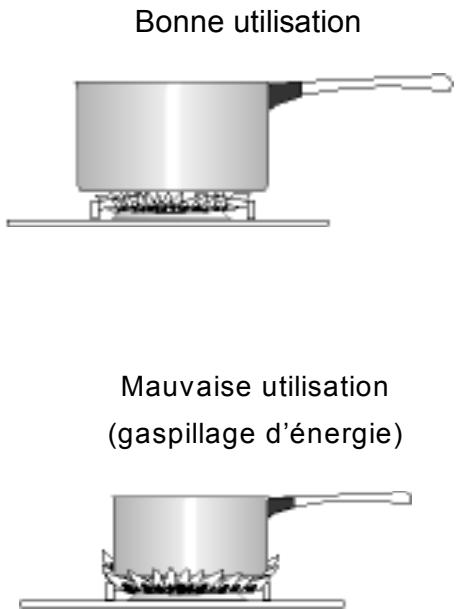 ZANKER GB904LTC - Choix du brûleur - 1
