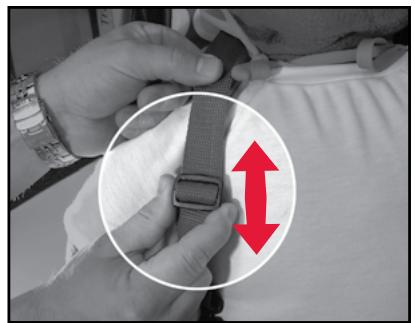 BRITAX CHAPERONE - Securing Child & Adjusting Harness - 2