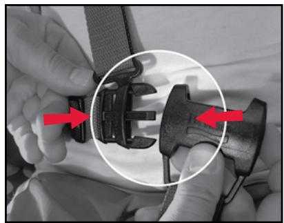 BRITAX CHAPERONE - Securing Child & Adjusting Harness - 3