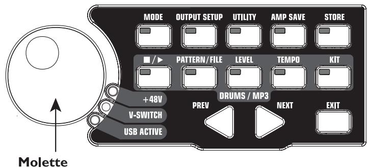 DIGITECH GNX4 - Configurations micro et ligne - 2