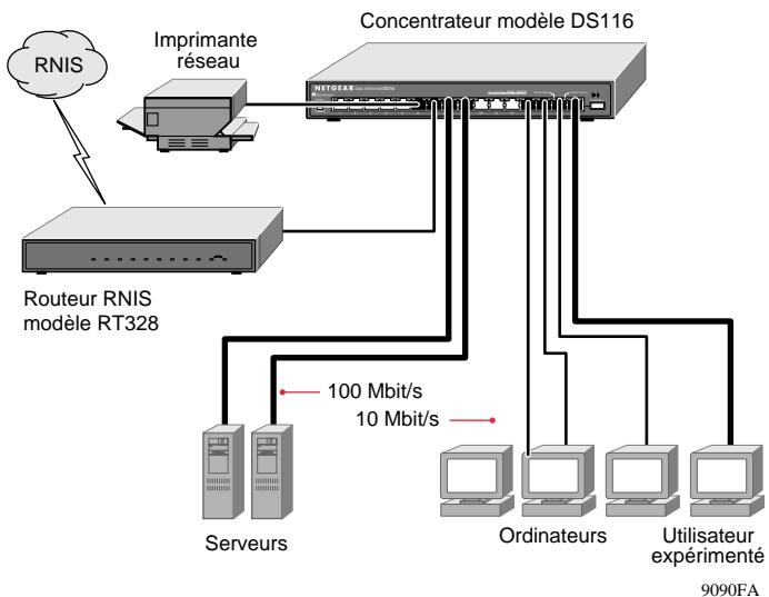 NETGEAR DS104 - Applications typiques - 1
