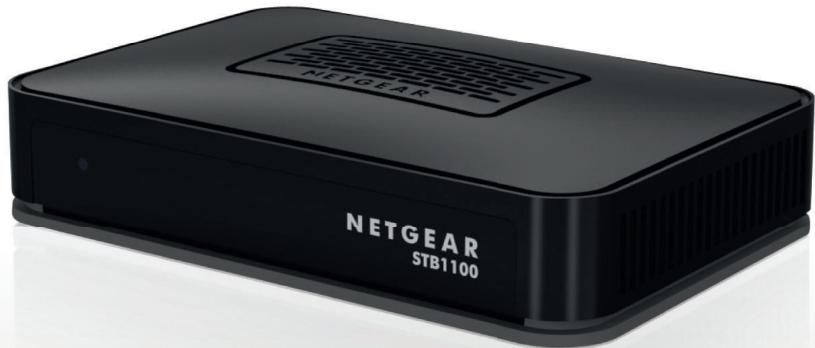 NETGEAR STB1100 TEVOLUTION - Par téléphone - 2