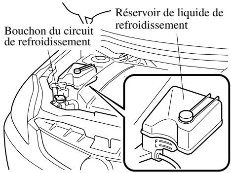 MAZDA 5 - Si l'on découvert une fuite ou autres dommages, ou si du liquide de refroidissement fait toujours: - 1