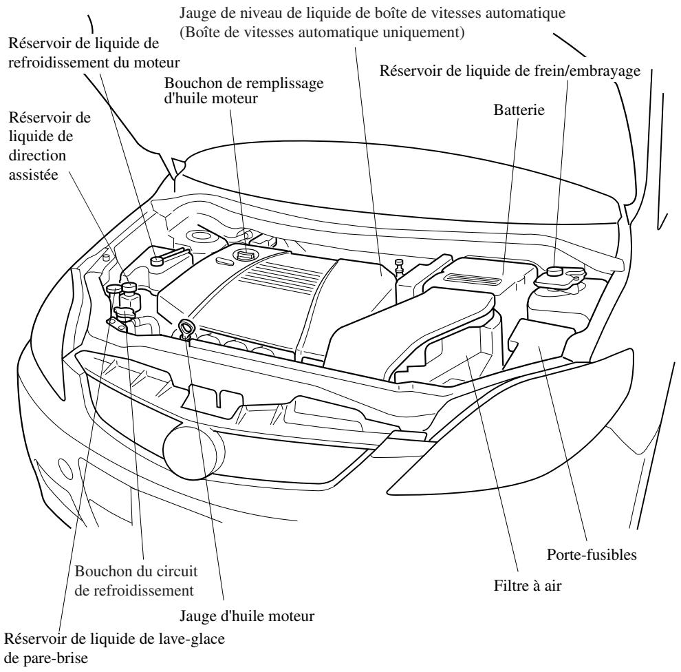 MAZDA 5 - Vue générale du compartmentement moteur - 1