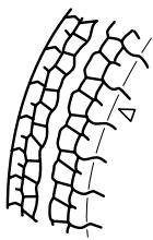 MAZDA 5 - (Avec système de surveillance de pression des pneus) - 1