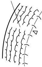 MAZDA 5 - (Avec système de surveillance de pression des pneus) - 2