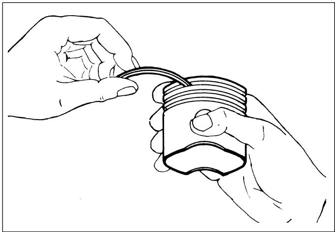 TECUMSEH SPECTRA 37 - e) SEGMENTS ET AXE - 1
