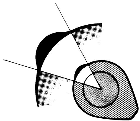 TECUMSEH SPECTRA 37 - Décompresseur à rampe (Fig 29-1) - 3