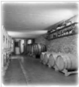 BAUKNECHT WLMG 1010 - La conservation du vin - 1