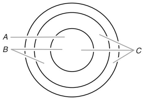 BAUKNECHT G7CE3055 - Élement triple (sur certains modèles) - 1