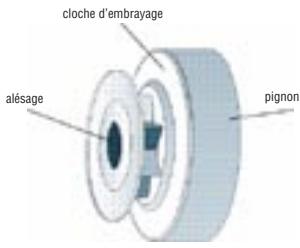OREGON MULTICUT - CE QUE VOUS DEVEZ SAVOIR SUR LES PIGNONS D'ENTRAINEMENT - 2