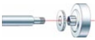 OREGON MULTICUT - MONTAGE - 2