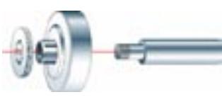 OREGON MULTICUT - MONTAGE - 1