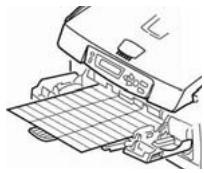 OKI CX2032MFP - Etiquetas - 1