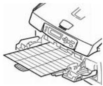 OKI CX2033MFP - Etiquetas - 1