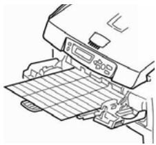 OKI CX2033MFP - Etiquetas - 1