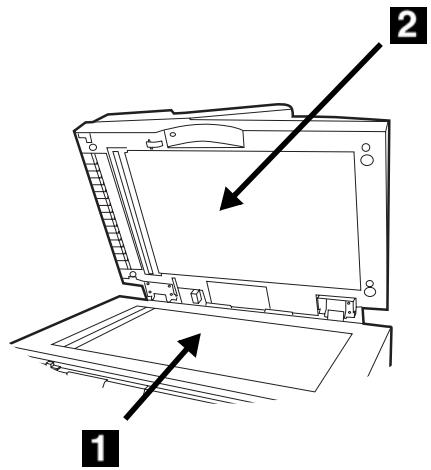 OKI CX2033MFP - Mantenimiento Limpieza del vidrio del ADF - 2