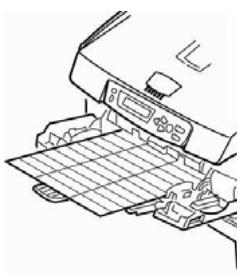 OKI MPS6150C - Chargement Étiquettes - 1