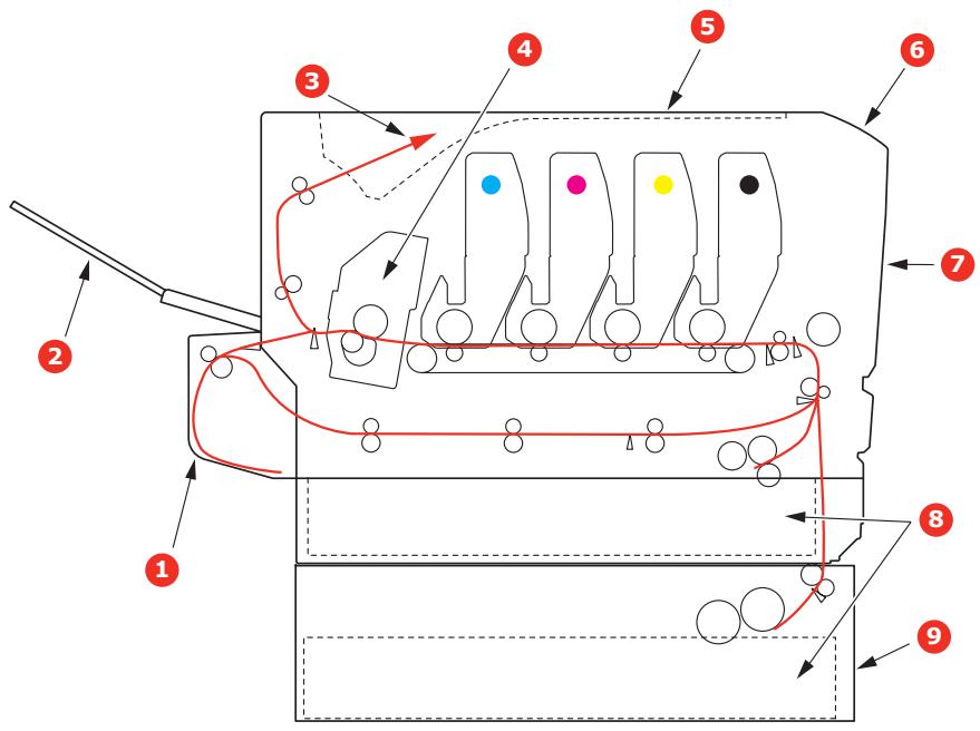 OKI MPS711C - Principaux éléments de l'imprimante et chemins du papier - 1