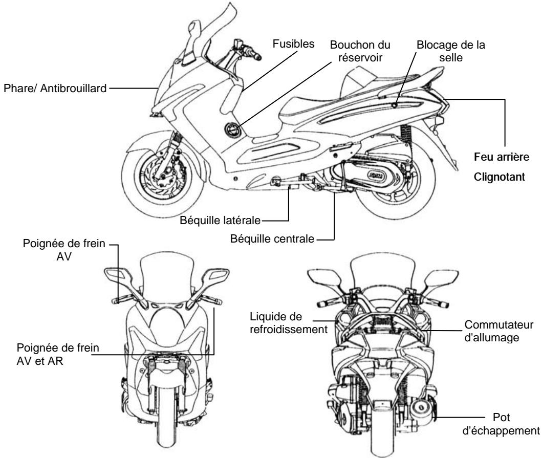 SYM GTS - Manuel de l'utilisateur - 3