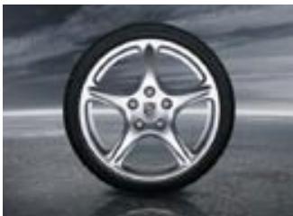 PORSCHE 911 CARRERA - Cuir/vernis couple - 19