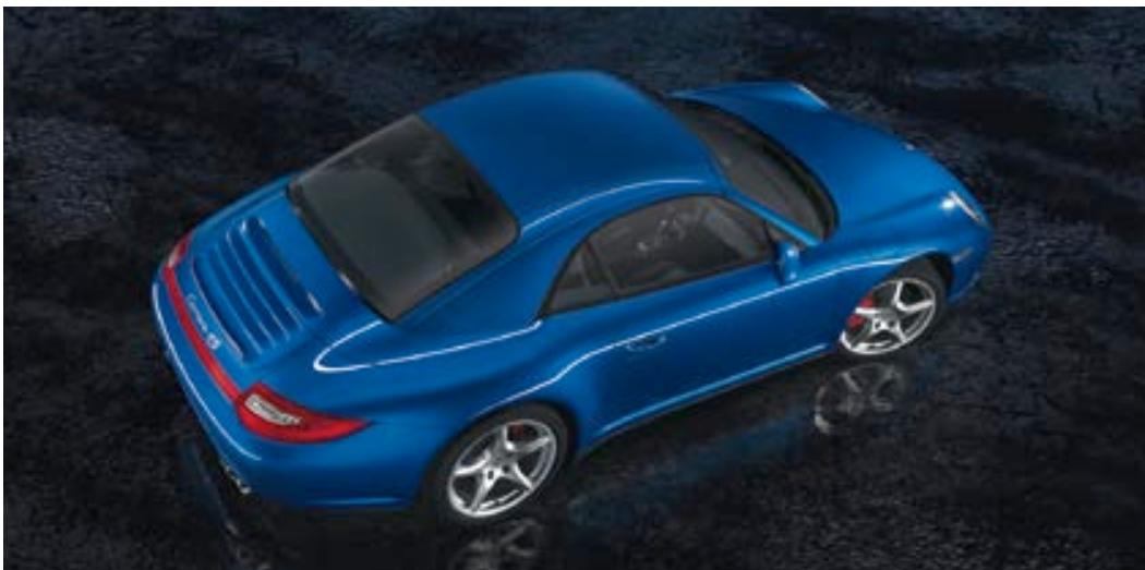 PORSCHE 911 CARRERA - Cuir/vernis couple - 15