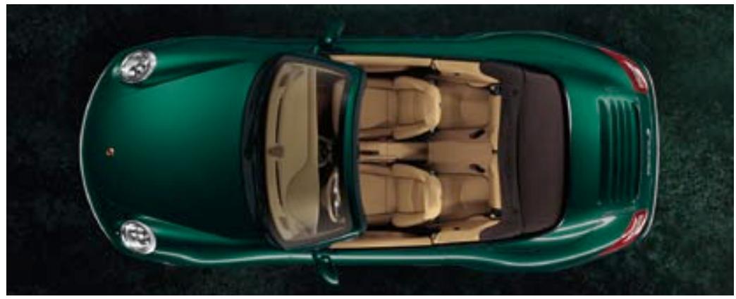 PORSCHE 911 CARRERA 4 - Cuir/vernis couple - 10