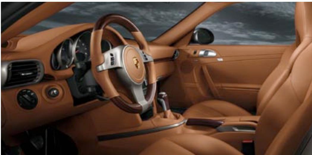 PORSCHE 911 CARRERA CABRIOLET - Cuir/vernis couple - 29