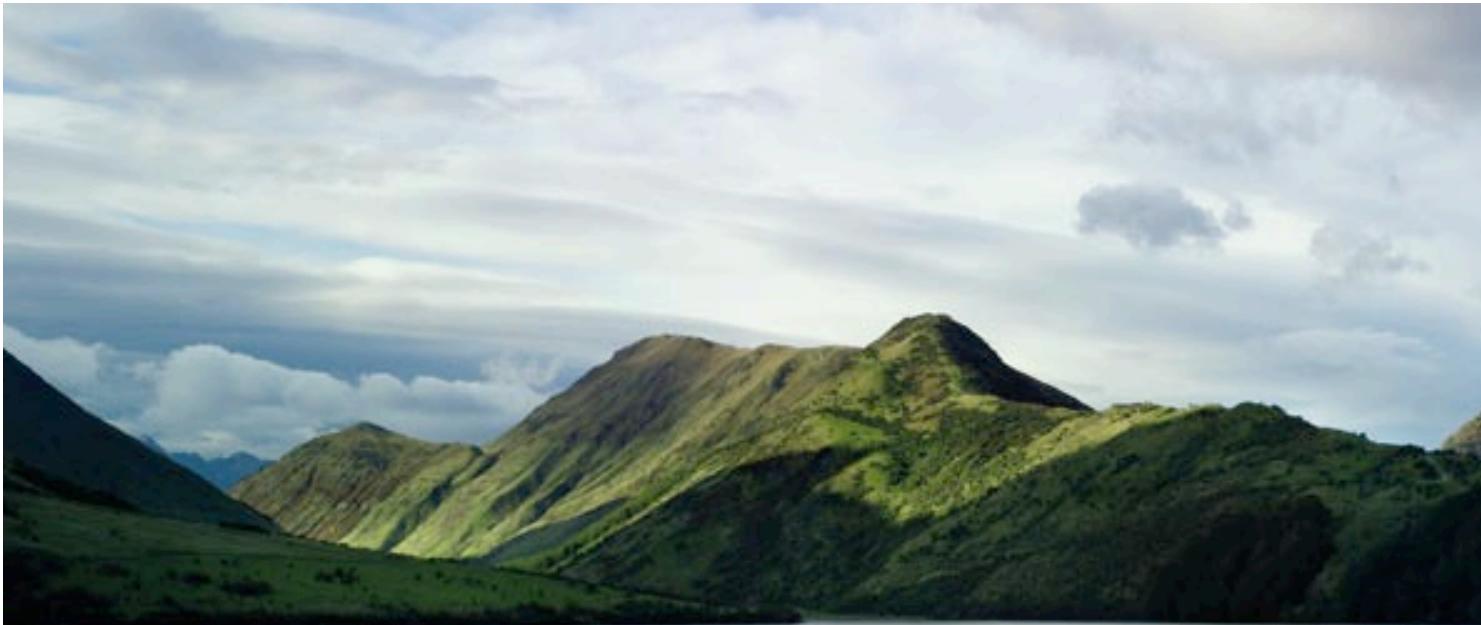 PORSCHE 911 TARGA 4 - L'entretien. - 1