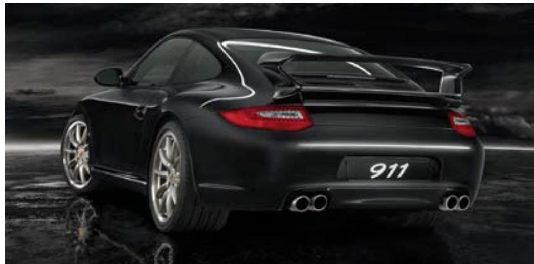 PORSCHE 911 TARGA 4 - Cuir/vernis couple - 14
