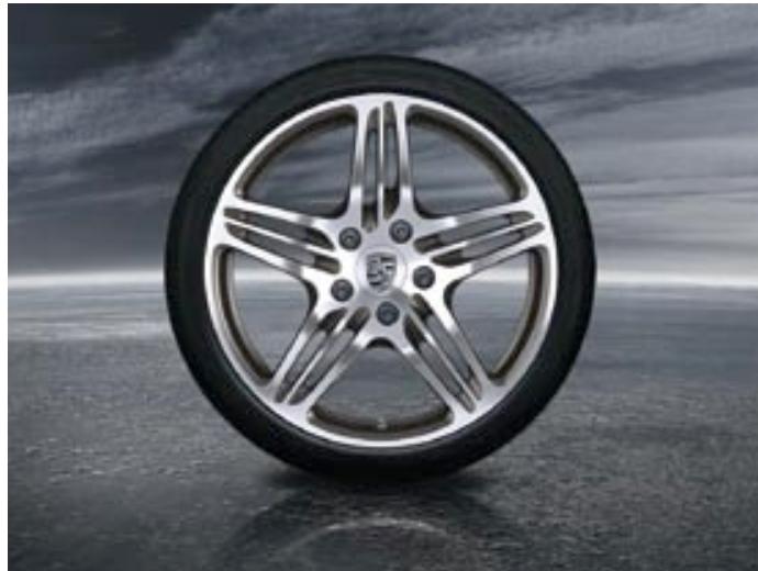 PORSCHE 911 TARGA 4S - Cuir/vernis couple - 21