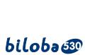 ATLINKS BILOBA 530 - Interroger le repondeur - 9