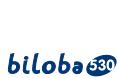 ATLINKS BILOBA 530 - Interphonie à PARTIR de la BASE - 1