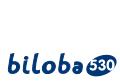 ATLINKS BILOBA 530 - Recevoir un APPEL - 1