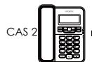 ATLINKS TEMPORIS 55 - Fonctions d'identification de l'appelant - 5