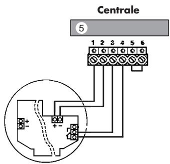 LEGRAND 432 05 - Câblage d'un seul détecteur fumée - 1