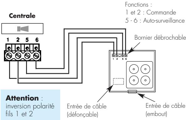 LEGRAND 432 05 - Câblage d'une seule sirène - 1