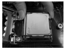 ASROCK H55M - Sicherheitshinwelle vor der Montage - 11