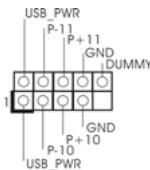 ASROCK H55M - Cabezal USB 2.0 - 1