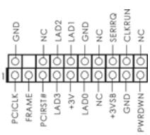 ASROCK H55M - Cabcera TPM - 1