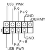 ASROCK H55M - USB 2.0 Headers - 2