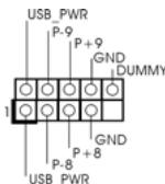 ASROCK H55M - Cabezal USB 2.0 - 2