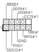 ASROCK H55M - COM-Anschluss-Header - 1